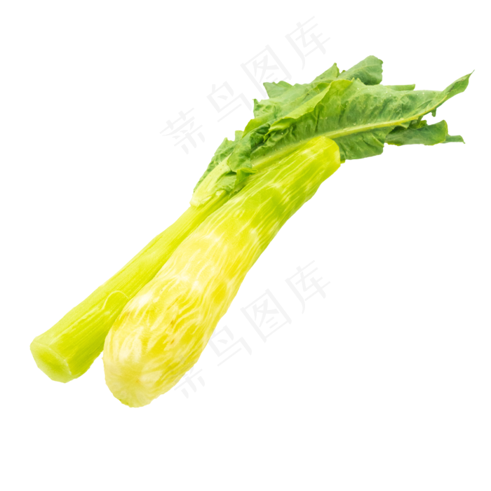 绿色莴笋