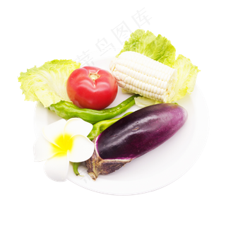 餐饮配菜蔬菜食材