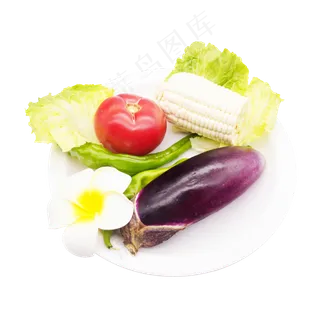 餐饮配菜蔬菜食材