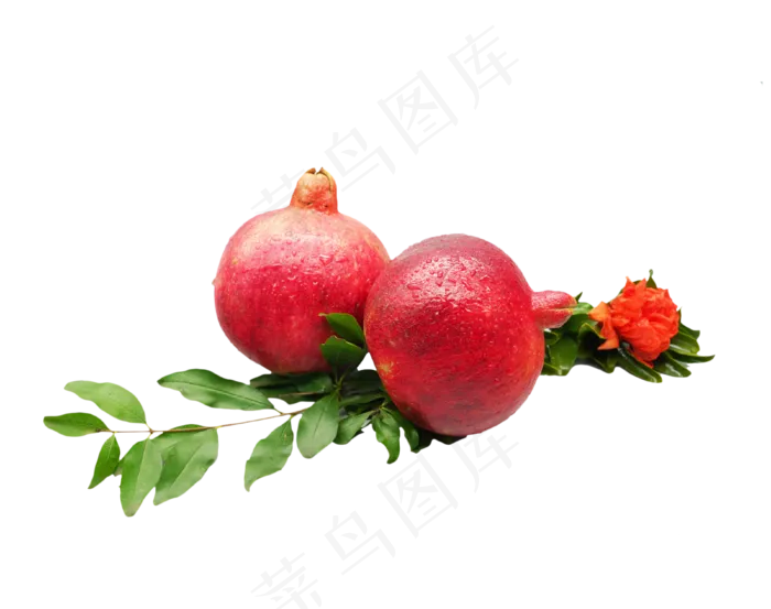红石榴和花枝(3800*3000px 300 dpi )