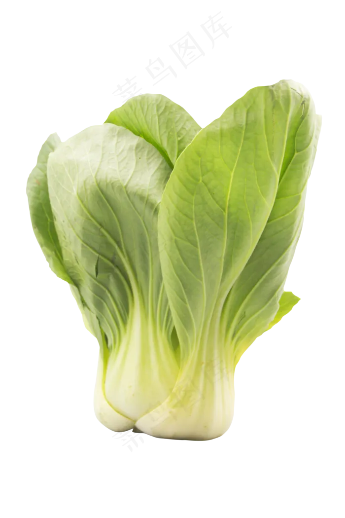 一颗绿色油菜(2000*3000px 300 dpi )