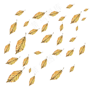 手绘植物漂浮树叶黄色落叶