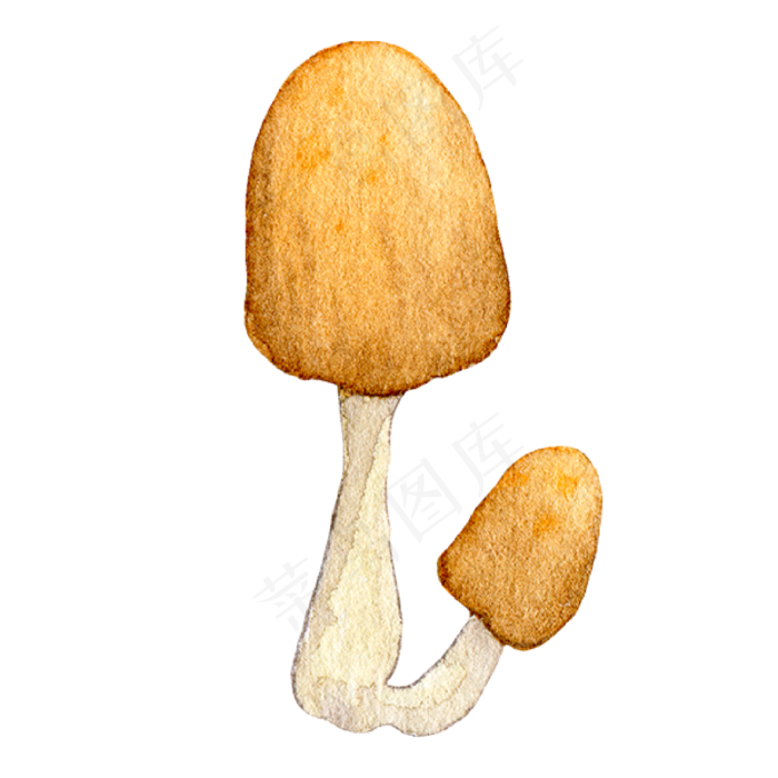 水彩手绘卡通蘑菇