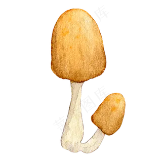 水彩手绘卡通蘑菇