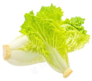 两颗蔬菜白菜