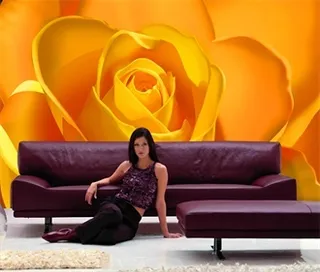 电视墙背景画效果图片