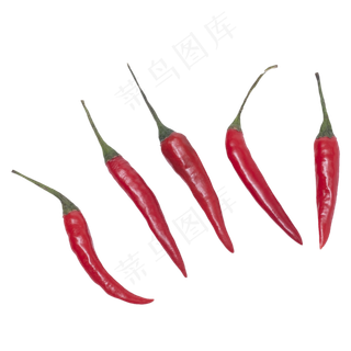 鲜红朝天椒