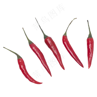 鲜红朝天椒