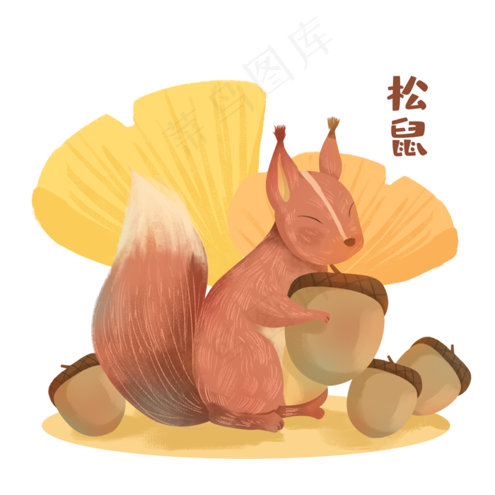 秋天动物松鼠银杏叶素材