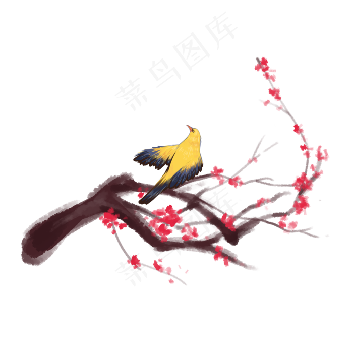 画眉鸟梅花水墨手绘