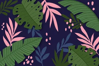 用于缩放的热带树叶背景