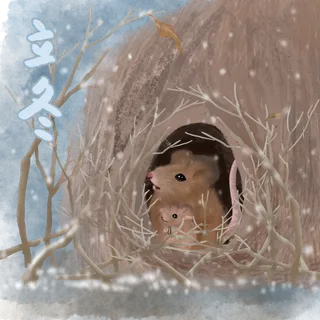 水彩风立冬节气元素