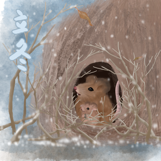 水彩风立冬节气元素