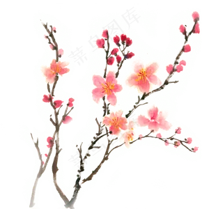 梅花盛开水墨画PNG免抠素材
