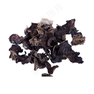 蔬菜黑木耳（png免抠）