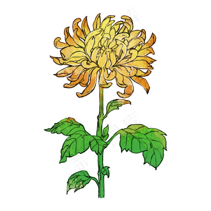 菊花重阳节(2000X2000(DPI:300))psd模版下载