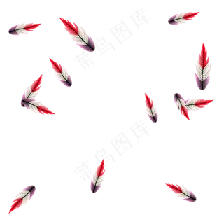 印第安风格羽毛