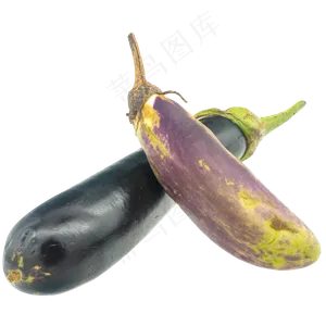 紫色实物茄子