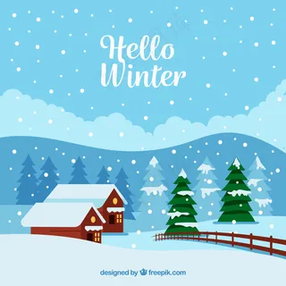 有两栋房子的冬季景观