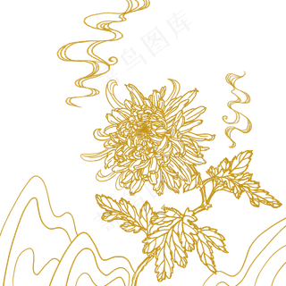 重阳节菊花线稿底纹