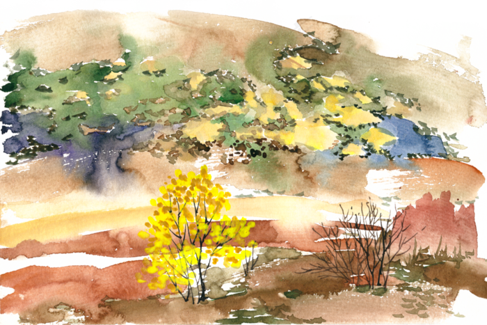 斑斓的秋天水彩画PNG免抠素材