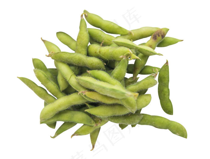 蔬菜毛豆(3017X2288(DPI:300))psd模版下载