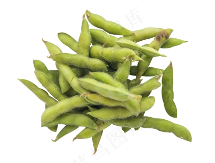 蔬菜毛豆 蔬菜毛豆