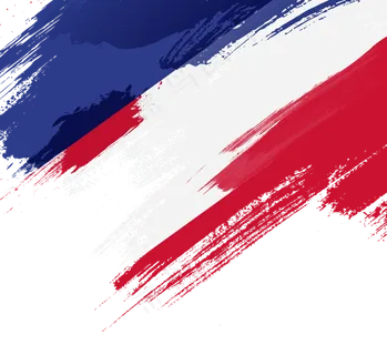 艺术笔刷形状法国国旗边框