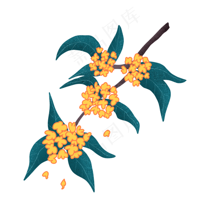 手绘桂花(2000X2000(DPI:300))psd模版下载