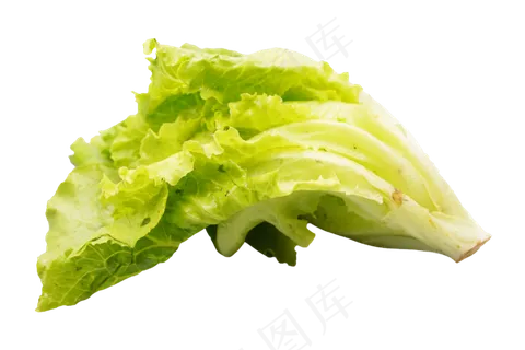 绿色蔬菜生菜 绿色蔬菜生菜