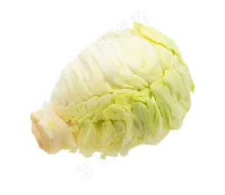 白色绿色包菜