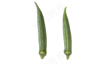 绿色安全美味秋葵