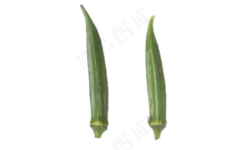 绿色安全美味秋葵