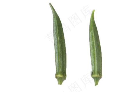 绿色安全美味秋葵 绿色安全美味秋葵