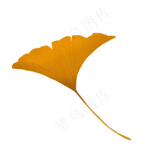 秋天银杏叶黄色仿真