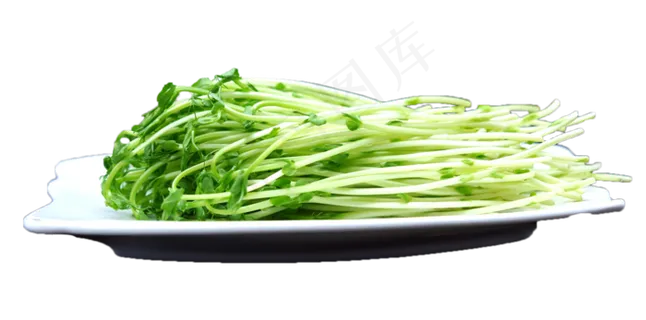 一盘绿色蔬菜豌豆苗 一盘绿色蔬菜豌豆苗