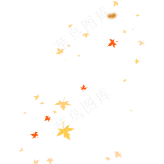 立秋枫叶(2000X2000)