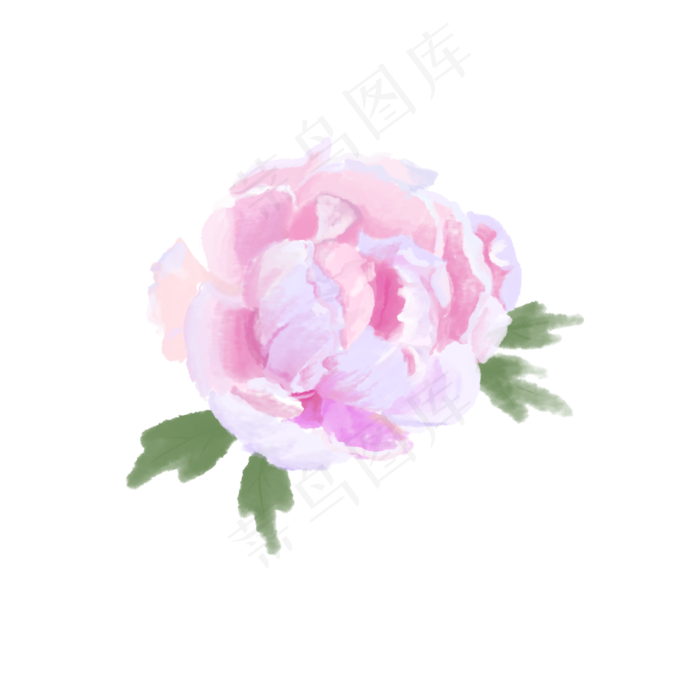 牡丹花水彩画