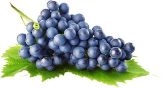 葡萄 提子 水果