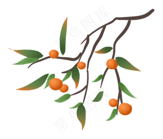 秋天秋日丰收蔬果柿子农作物树枝