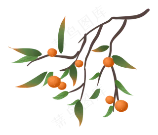 秋天秋日丰收蔬果柿子农作物树枝