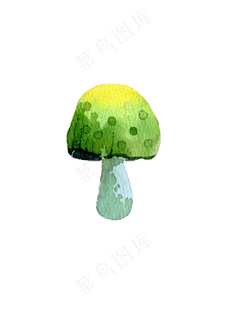 手绘蘑菇水彩蘑菇秋日蘑菇
