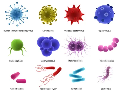 病毒微生物在白色生物集上分离 向量例证有机体疾病 hiv 冠状病毒 sta... 病毒微生物在白色生物集上分离 向量例证有机体疾病 hiv 冠状病毒 sta...