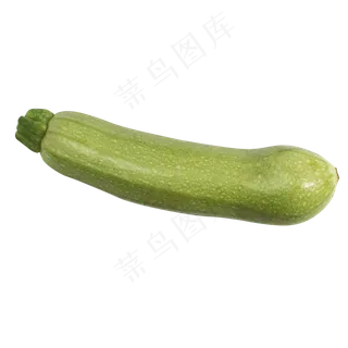 厨余垃圾西葫芦