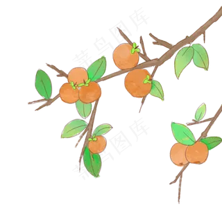 手绘中国风柿子树 手绘中国风柿子树