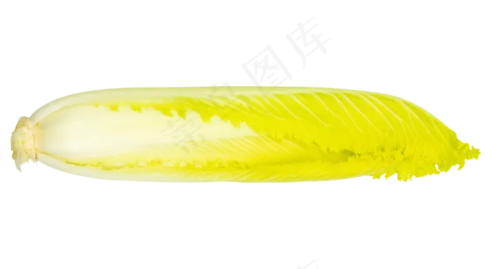 绿色蔬菜白菜(3898*2137px 300 dpi )