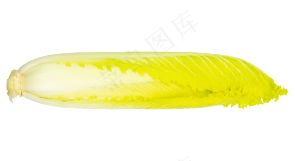 绿色蔬菜白菜