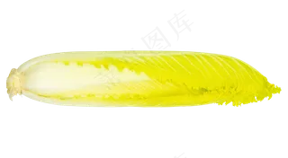 绿色蔬菜白菜