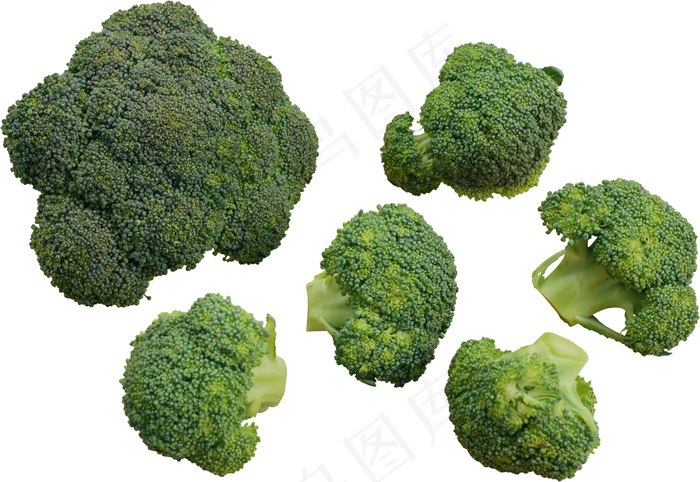 花菜 花椰菜psd模版下载