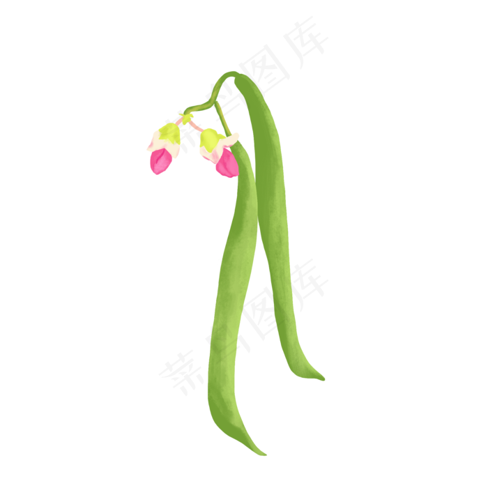 秋分四季豆(2000X2000(DPI:150))psd模版下载